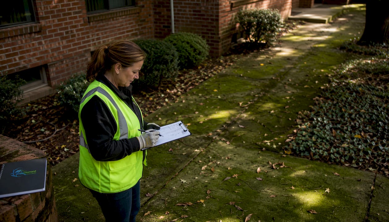 Property manager inspecting mossy walkway