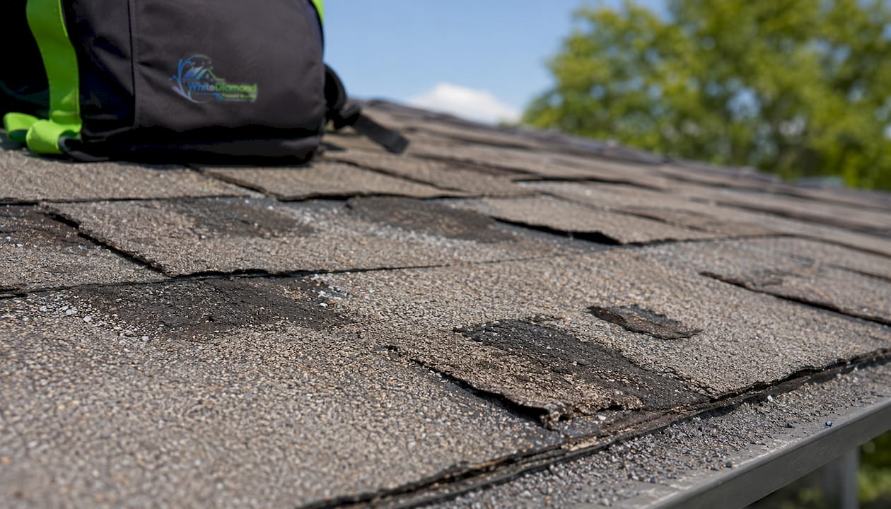 Close-up of worn roof shingles with granule loss