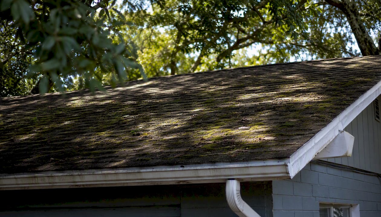 Roof shingles with moss and algae growth