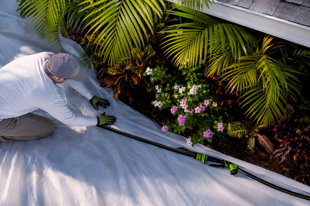 Tarp protecting garden plants during roof cleaning
