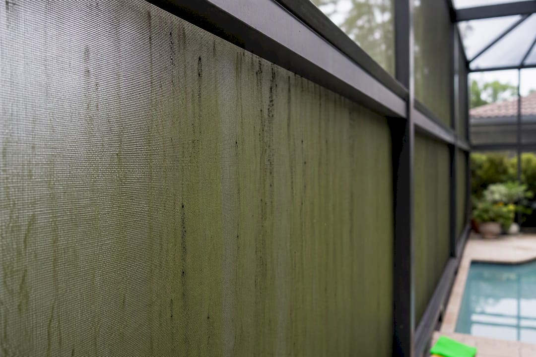 Early algae streaks on shaded screen mesh