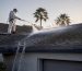 Technician applying soft wash to roof shingles