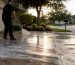 Driveway being professionally soft-washed