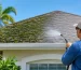 How to Prevent Roof Algae on Florida Homes